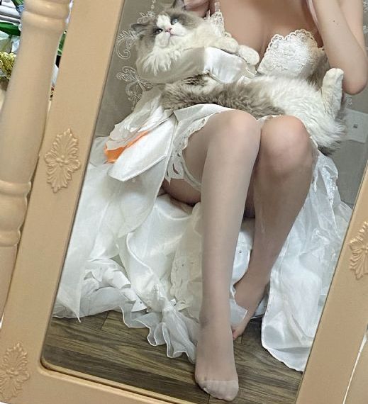 坠落天使在线观看免费完整版
