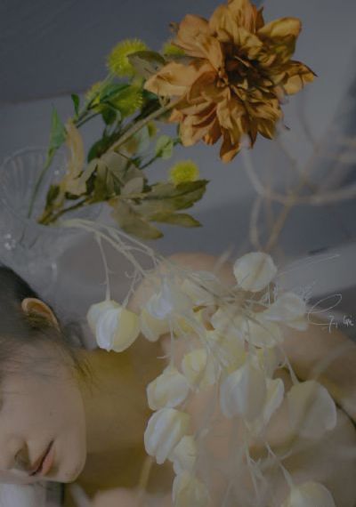 魔法满屋中文免费版普通话
