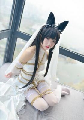无节操摄影部动漫在线观看