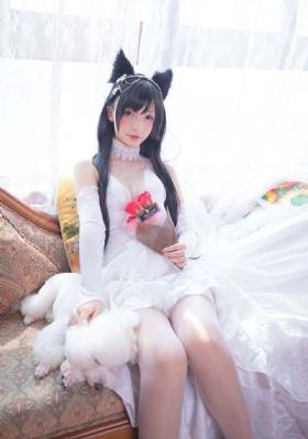 豪情玫瑰